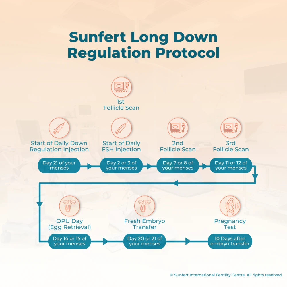 Step-by-step IVF long down-regulation protocol (LDR) treatment timeline