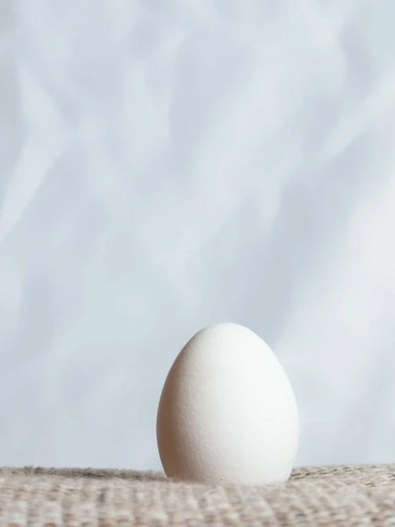 Vanessa von wieding owqwyawek 8 unsplash