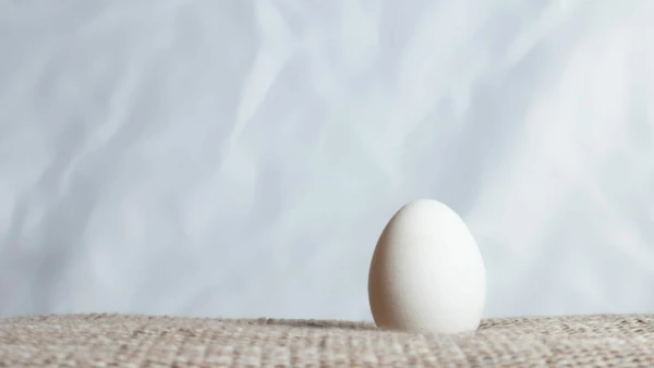 Vanessa von wieding owqwyawek 8 unsplash