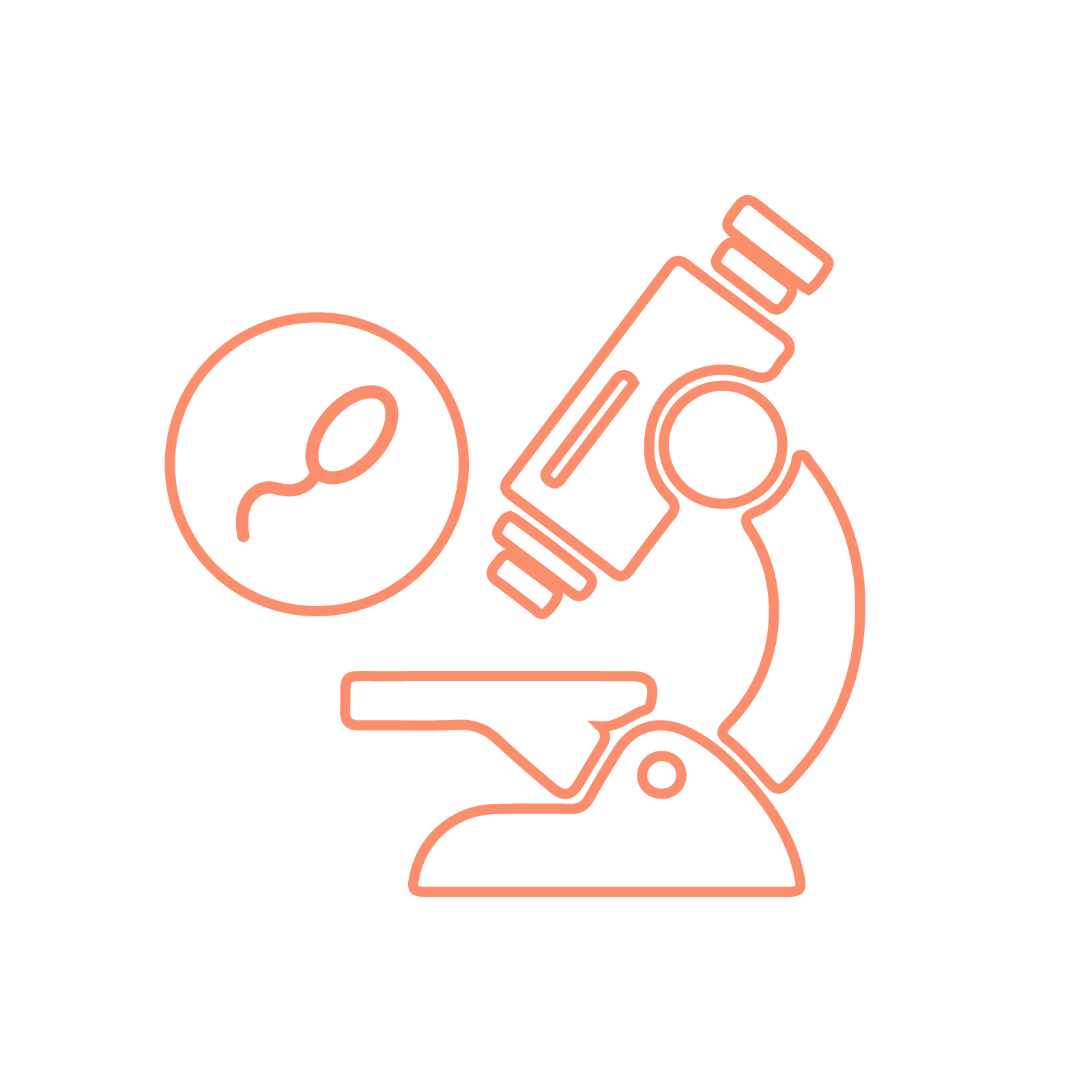 Intra-Cytoplasmic Morphologically Selected Sperm Injection (IMSI) at Sunfert IVF